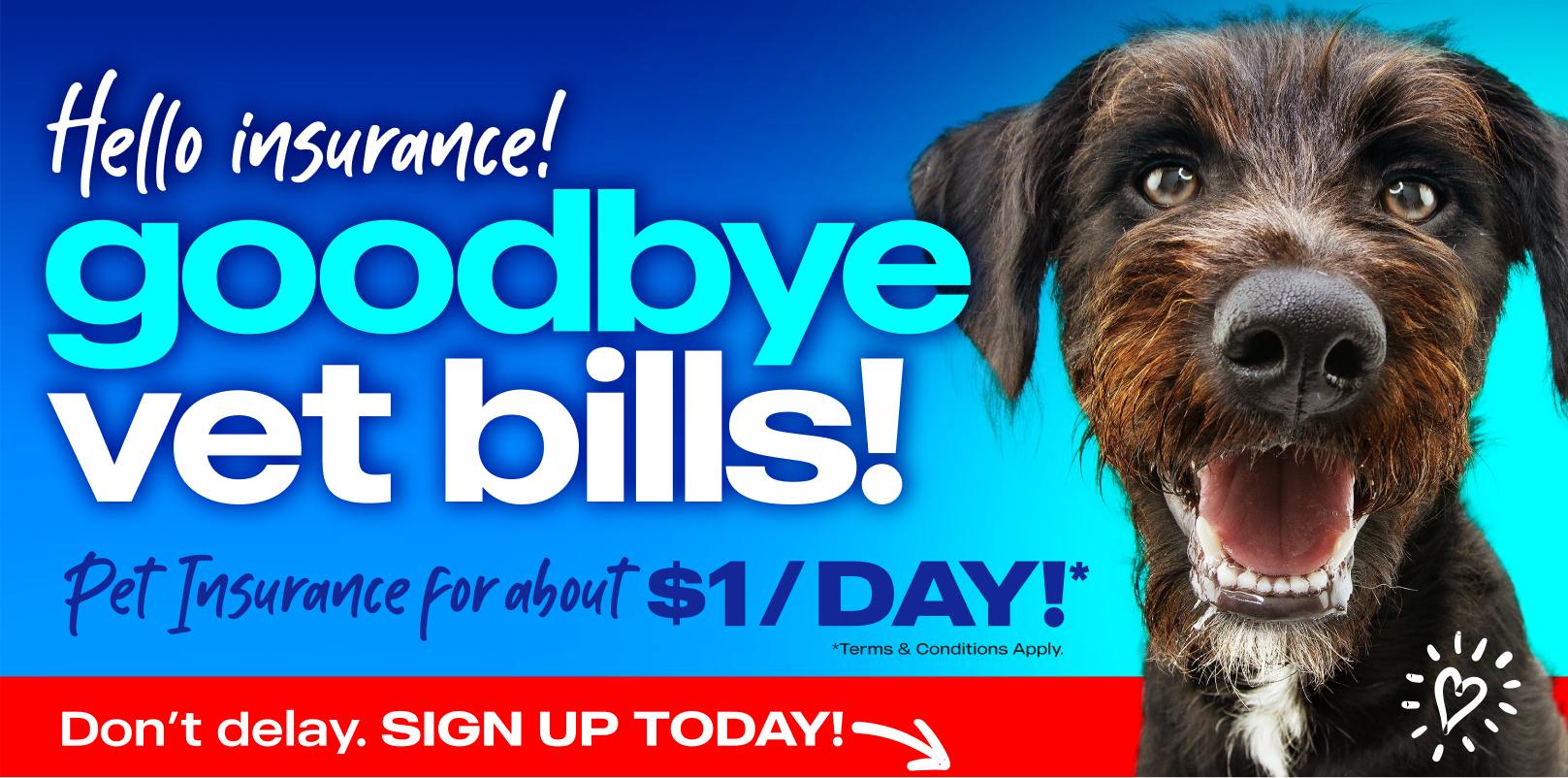 Website Banner Ad-ai